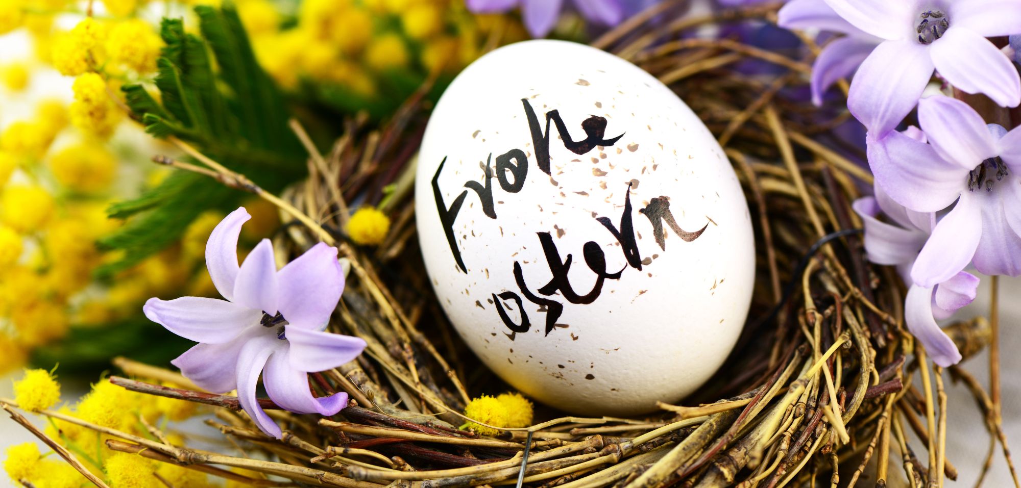 Frohe Ostern on WhatsApp: Best GIFs, Sprüche & Picture Ideas